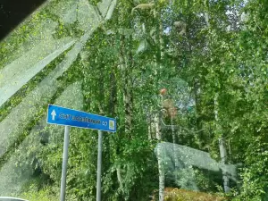 Фотография СНТ "Заозёрный" 5