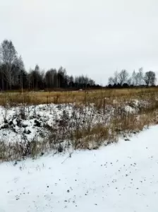 Фотография Сибирские владения 2
