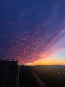 Фотография Орбита 2
